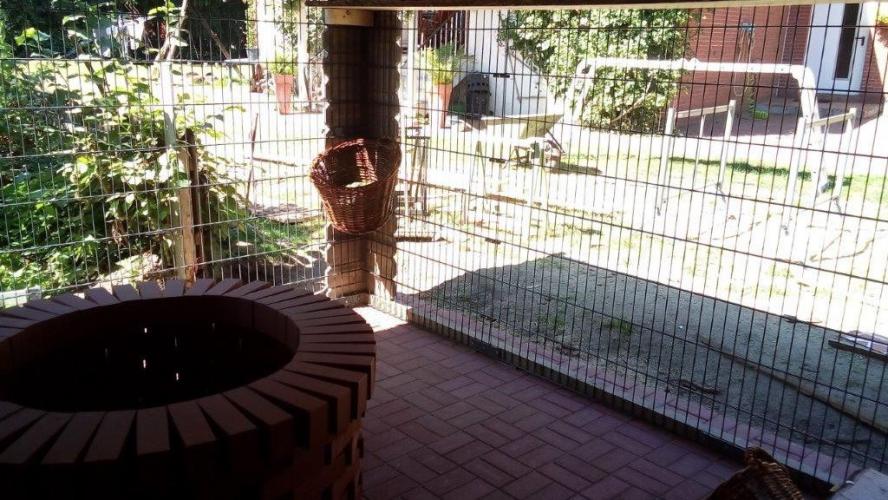 Innenansicht Saloon Gehege